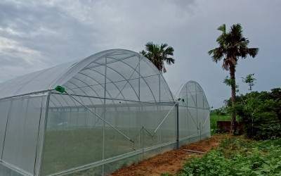 Dự án nhà màng Eco Garden tại Ba Vì, Hà Nội 